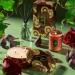 Shop VOLUSPA Forbidden Fig Home Diffuser - 3.4 oz/ 100 mL Online - Best Price & International Shipping - Buy Online on GoSupps.com