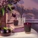 Shop NEST New York Autumn Plum Reed Diffuser - 5.9 oz / 175 ml diffuser Online - Best Price & International Shipping - Buy Online on GoSupps.com