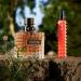 Shop Valentino Born in Roma Coral Fantasy Eau de Parfum Travel Spray - 0.33 oz/ 10 mL Online - Best Price & International Shipping - Buy Online on GoSupps.com