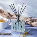 Shop NEST New York Driftwood & Chamomile Diffuser - 5.9 oz/ 175 mL Online - Best Price & International Shipping - Buy Online on GoSupps.com