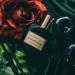 Shop World of Chris Collins Danse Sauvage Eau de Parfum Travel Spray - 0.3 oz/ 7.5 mL Online - Best Price & International Shipping - Buy Online on GoSupps.com