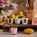 Shop VOLUSPA Mini Candle Set Online - Best Price & International Shipping - Buy Online on GoSupps.com