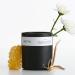 Shop Nette Queen Candle - 11 oz / 312 g 2 wick candle Online - Best Price & International Shipping - Buy Online on GoSupps.com