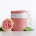 Shop Nette Gallica Rose Candle - 11 oz / 312 g 2 wick candle Online - Best Price & International Shipping - Buy Online on GoSupps.com