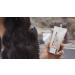 Shop Peter Thomas Roth Max Mineral Tinted Sunscreen Broad Spectrum SPF 45 - 1.7 oz/ 50 mL Online - Best Price & International Shipping - Buy Online on GoSupps.com