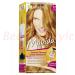 Garnier Movida Hair Colour - 17 Gold Copper - New Boxed - German
