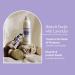 Shop L'Occitane L'Occitane Lavender Foaming Bath Online - Best Price & International Shipping - Buy Online on GoSupps.com