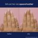 Shop L'Occitane Strengthening Shea Nail and Cuticle Oil				 Online - Best Price & International Shipping - Buy Online on GoSupps.com