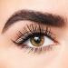 Shop tarte Opening Act Lash Primer - 0.24 oz/ 7.1 mL Online - Best Price & International Shipping - Buy Online on GoSupps.com
