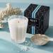 Shop NEST New York Ocean Mist & Sea Salt Scented Candle - 8.1 oz/ 230 g Online - Best Price & International Shipping - Buy Online on GoSupps.com