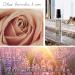 Shop Rossano Ferretti Parma Grandioso Volumizing Spray - 3.4 oz Online - Best Price & International Shipping - Buy Online on GoSupps.com