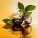 Shop Shiseido Future Solution LX Total Regenerating Cream - 1.7 oz/ 50 mL Online - Best Price & International Shipping - Buy Online on GoSupps.com