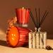 Shop NEST New York Pumpkin Chai Reed Diffuser Online - Best Price & International Shipping - Buy Online on GoSupps.com