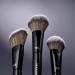 Shop SEPHORA COLLECTION PRO Blush Brush #99 Online - Best Price & International Shipping - Buy Online on GoSupps.com