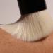 Shop MERIT Brush No. 1 Tapered Blending Brush Online - Best Price & International Shipping - Buy Online on GoSupps.com