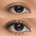 Shop HUDA BEAUTY Mini LEGIT LASHES Double-Ended Volumizing and Lengthening Mascara - 2 x 0.11 oz/ 3.5 mL - extreme black Online - Best Price & International Shipping - Buy Online on GoSupps.com