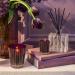 Shop NEST New York Autumn Plum Reed Diffuser - 5.9 oz / 175 ml diffuser Online - Best Price & International Shipping - Buy Online on GoSupps.com
