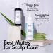 Shop BondiBoost Procapil Hair & Scalp Tonic for Thinning Hair with Horsetail Extract - 4.23 oz/ 125 mL Online - Best Price & International Shipping - Buy Online on GoSupps.com