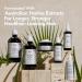 Shop BondiBoost Thermal & Heat Protectant Spray with Aloe + Rosemary - 4.23 oz/ 125 mL Online - Best Price & International Shipping - Buy Online on GoSupps.com