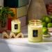 Shop VOLUSPA Havana Mint Mojito Glass Jar Candle - 18 oz/ 510 g Online - Best Price & International Shipping - Buy Online on GoSupps.com
