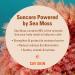 Shop CAY SKIN Isle Glow Body Lotion Sunscreen SPF 45 with Sea Moss and Cocoa Seed Butter - 3.4 oz / 100 mL Online - Best Price & International Shipping - Buy Online on GoSupps.com