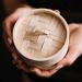 Shop Viori Hair Shampoo & Conditioner Bamboo Bar Holder - Standard size Online - Best Price & International Shipping - Buy Online on GoSupps.com