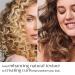 Shop T3 SinglePass Curl 0.75 Ceramic Long Barrel Curling and Wave Iron Online - Best Price & International Shipping - Buy Online on GoSupps.com