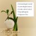 Shop Briogeo Be Gentle Be Kind Aloe + Oat Milk Ultra Soothing 3-in-1 Cleansing Bar - 3.7 oz / 104 g Online - Best Price & International Shipping - Buy Online on GoSupps.com