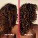 Shop Ceremonia Guava Conditioner for Damaged and Color Treated Hair - 8.45 oz / 250 mL Online - Best Price & International Shipping - Buy Online on GoSupps.com