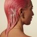 Shop Ceremonia Guava Conditioner for Damaged and Color Treated Hair - 8.45 oz / 250 mL Online - Best Price & International Shipping - Buy Online on GoSupps.com