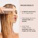 Shop BondiBoost Heavenly Hydration Conditioner with Aloe + Argan - 16.9 oz / 500 mL Online - Best Price & International Shipping - Buy Online on GoSupps.com