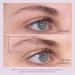 Shop Virtue Flourish Brow Density Booster Serum - 0.14 oz / 4 ml Online - Best Price & International Shipping - Buy Online on GoSupps.com