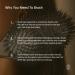 Shop Crown Affair Brush No. 003 Online - Best Price & International Shipping - Buy Online on GoSupps.com