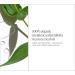 Shop Briogeo Scalp Revival Organic + Australian 100% Tea Tree Oil - 1 oz / 30 ml Online - Best Price & International Shipping - Buy Online on GoSupps.com