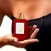 Shop Ellis Brooklyn APPLE LOVE Eau de Parfum - 1.7 oz / 50 mL Eau de Parfum Online - Best Price & International Shipping - Buy Online on GoSupps.com