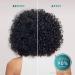 Shop Moroccanoil Mini Frizz Shield Spray - 1.7 oz / 50 ml Online - Best Price & International Shipping - Buy Online on GoSupps.com