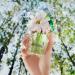 Shop Marc Jacobs Fragrances Daisy Wild Eau de Parfum Travel Spray - 0.33 oz / 10 mL eau de parfum Online - Best Price & International Shipping - Buy Online on GoSupps.com