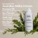 Shop BondiBoost HG Volumizing Dry Shampoo with Rosemary - 3.95 oz Online - Best Price & International Shipping - Buy Online on GoSupps.com