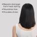 Shop L'Or al Professionnel Absolut Repair Shampoo for Dry Hair - 16.9 oz / 500 ml Online - Best Price & International Shipping - Buy Online on GoSupps.com