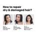 Shop L'Or al Professionnel Absolut Repair 10-In-1 Hair Oil for Dry Hair - 3 oz / 90 ml Online - Best Price & International Shipping - Buy Online on GoSupps.com