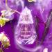 Shop FORVR Mood NDA Eau de Parfum - 1.7 oz eau de parfum spray Online - Best Price & International Shipping - Buy Online on GoSupps.com