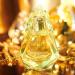 Shop FORVR Mood Hard to Get Eau de Parfum - 1.7 oz eau de parfum spray Online - Best Price & International Shipping - Buy Online on GoSupps.com