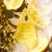 Shop FORVR Mood Hard to Get Eau de Parfum - 1.7 oz eau de parfum spray Online - Best Price & International Shipping - Buy Online on GoSupps.com