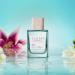 Shop CLEAN RESERVE H2Eau - Musk Noir Eau de Parfum Rollerball - 0.34 oz eau de parfum rollerball Online - Best Price & International Shipping - Buy Online on GoSupps.com