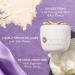 Shop Tatcha The Silk Peony Melting Eye Cream - 0.5 oz / 15 mL Online - Best Price & International Shipping - Buy Online on GoSupps.com