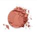 Shop tarte mini Amazonian clay 12-hour blush - 0.05 oz Paaarty - rosy buff Online - Best Price & International Shipping - Buy Online on GoSupps.com