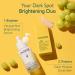 Shop Caudalie Dark Spot Brightening Serum & Sunscreen Set Online - Best Price & International Shipping - Buy Online on GoSupps.com