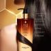 Shop GUERLAIN Abeille Royale Repairing & Replumping Care Conditioner - 9.8 oz / 290 ml Online - Best Price & International Shipping - Buy Online on GoSupps.com