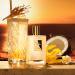 Shop KILIAN Paris Sunkissed Goddess - 1.7 oz eau de parfum spray Online - Best Price & International Shipping - Buy Online on GoSupps.com