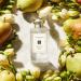 Shop Jo Malone London English Pear Fragrance Duo Set Online - Best Price & International Shipping - Buy Online on GoSupps.com